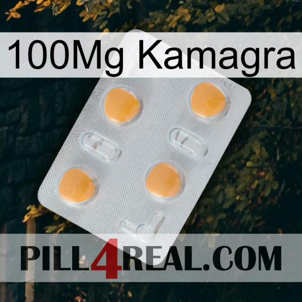 100Mg Kamagra 24.jpg